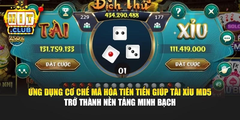 Ứng dụng cơ chế mã hóa tiên tiến giúp Tài xỉu MD5 trở thành nền tảng minh bạch